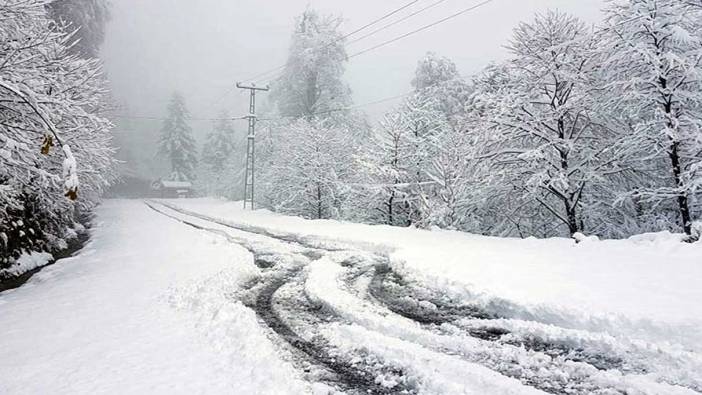 Kar yağışı etkisini gösterdi! Bu ilde 35 köy yolu ulaşıma kapandı