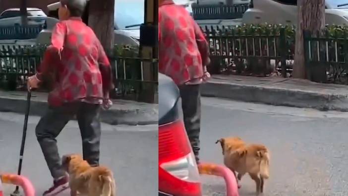 Sahibini taklit eden köpek viral oldu