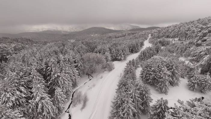 Kazdağı Milli Parkı'nda kar manzaraları dron ile görüntülendi