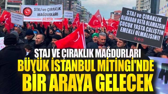 Staj ve çıraklık mağdurları Büyük İstanbul Mitingi'nde bir araya gelecek