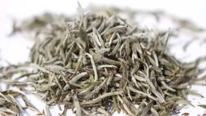 Beyaz çayın faydaları nelerdir? Beyaz çay neye iyi gelir?