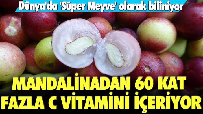 Mandalinadan 60 kat fazla C vitamini içeriyor! Dünya'da 'Süper Meyve' olarak biliniyor