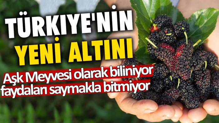 Türkiye'nin yeni altını: Aşk Meyvesi olarak biliniyor, faydaları saymakla bitmiyor