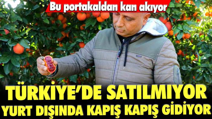Türkiye'de satılmıyor, yurt dışında kapış kapış gidiyor: Bu portakaldan kan akıyor