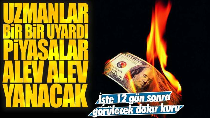 Uzmanlar bir bir uyardı: Piyasalar alev alev yanacak! İşte 5 gün sonra görülecek dolar kuru