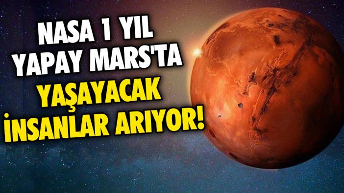 NASA 1 yıl boyunca yapay Mars'ta yaşayacak insanlar arıyor!