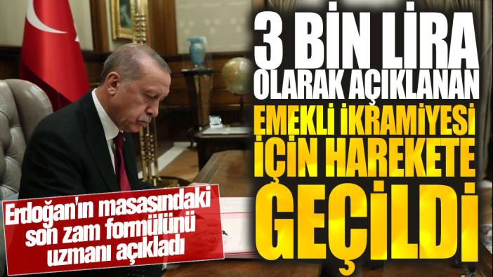 3 bin lira olarak açıklanan emekli ikramiyesi için harekete geçildi! Erdoğan'ın masasındaki son zam formülünü uzmanı açıkladı