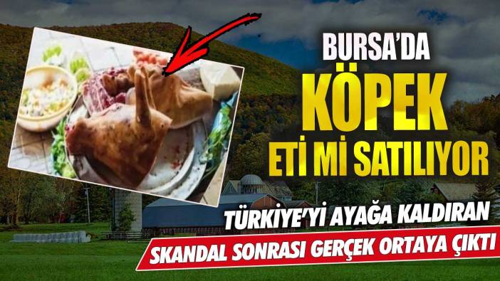 Bursa’da köpek eti mi satılıyor? Türkiye’yi ayağa kaldıran skandal sonrası gerçek ortaya çıktı