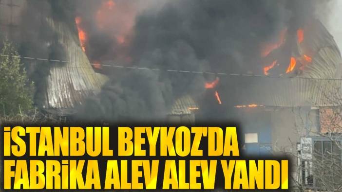 Son dakika... İstanbul Beykoz'da fabrika yangını