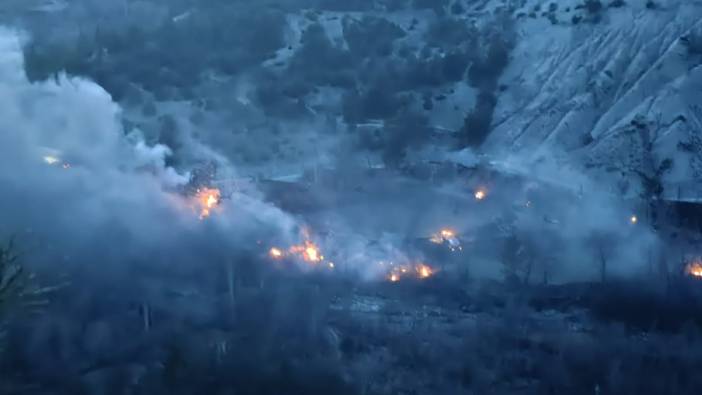 Tokat'ta orman yangını