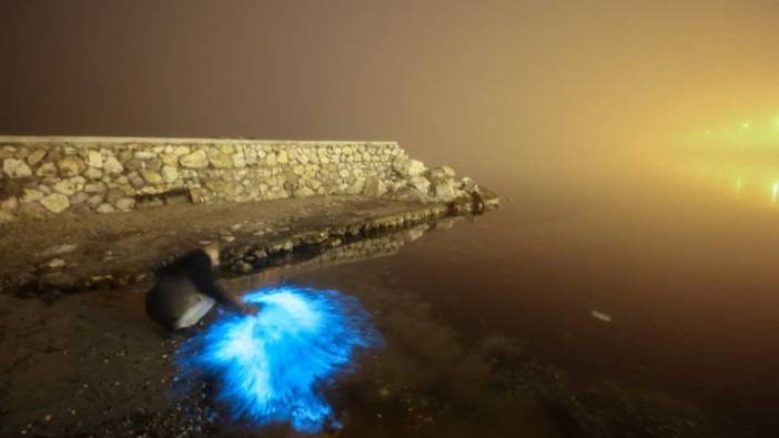 Bursa kıyılarında deniz suyu yer yer renk değiştirdi