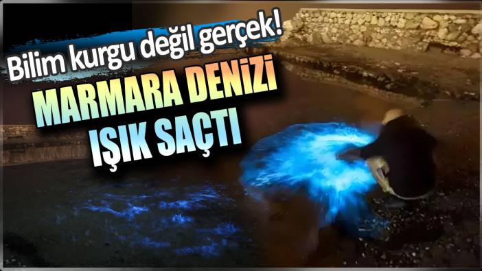 Bilim kurgu değil gerçek: Marmara Denizi ışık saçtı!