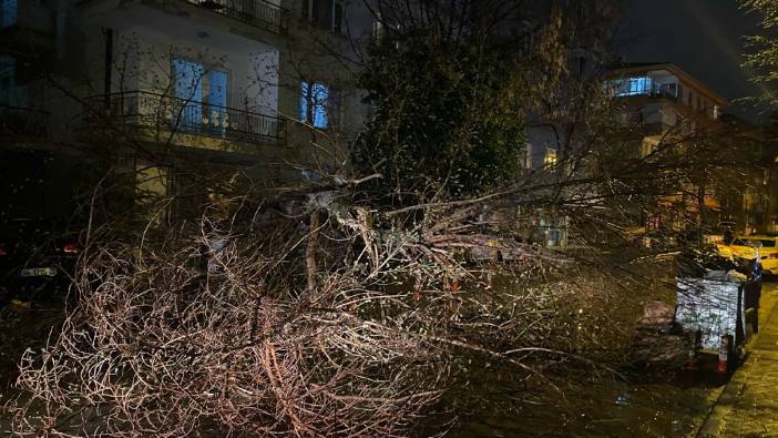 Ankara’da fırtına nedeniyle ağaç devrildi