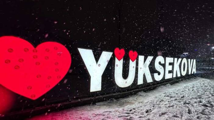 Yüksekova’da lapa lapa kar yağışı!