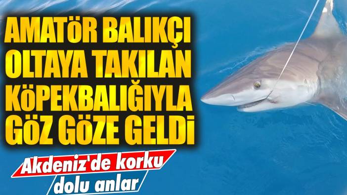 Akdeniz'de korku dolu anlar: Amatör balıkçı oltaya takılan köpekbalığıyla göz göze geldi!