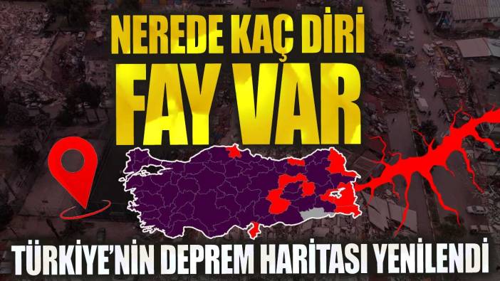 Türkiye’nin deprem haritası yenilendi! Nerede kaç diri fay var