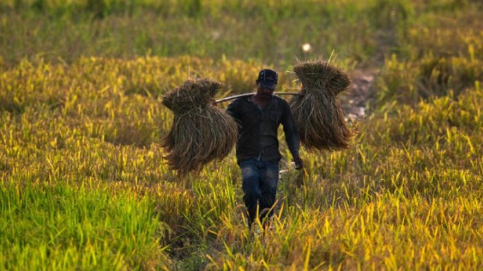 Hindistan'da çiftçiler Başkente yürüyor