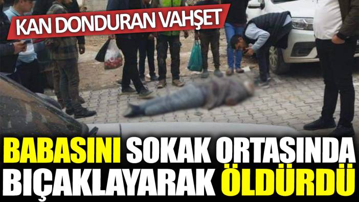 Şanlıurfa'da babasını sokak ortasında bıçaklayarak öldürdü: Kan donduran vahşet!
