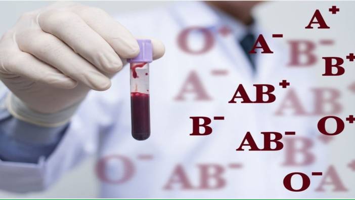 Kan grupları ve kan uyuşmazlığı nedir?