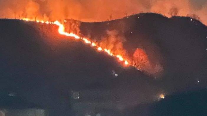 Trabzon'da orman yangını