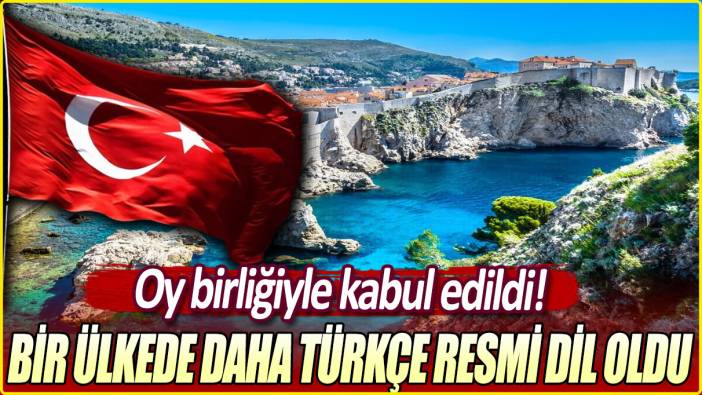 Bir ülkede daha Türkçe resmi dil oldu: Oy birliğiyle kabul edildi!