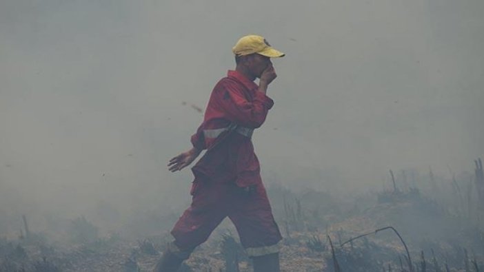Endonezya'da yangın felaketi: Eğitime ara verildi