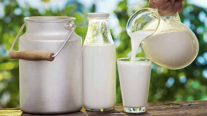 Sütün faydaları nelerdir? Süt neye iyi gelir