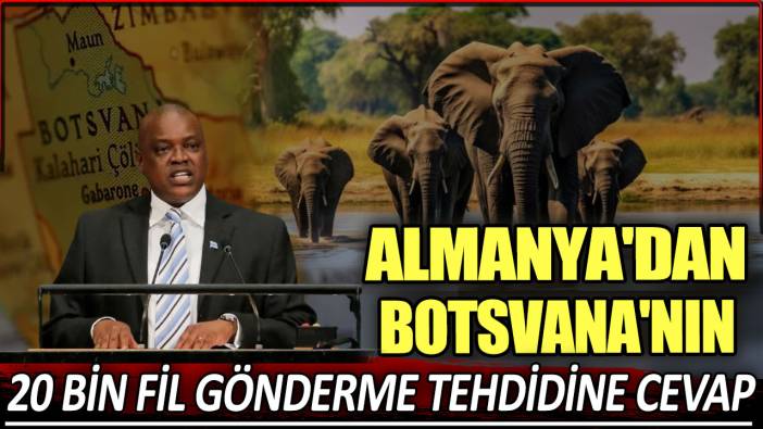 Almanya'dan Botsvana'nın 20 bin fil gönderme tehdidine cevap