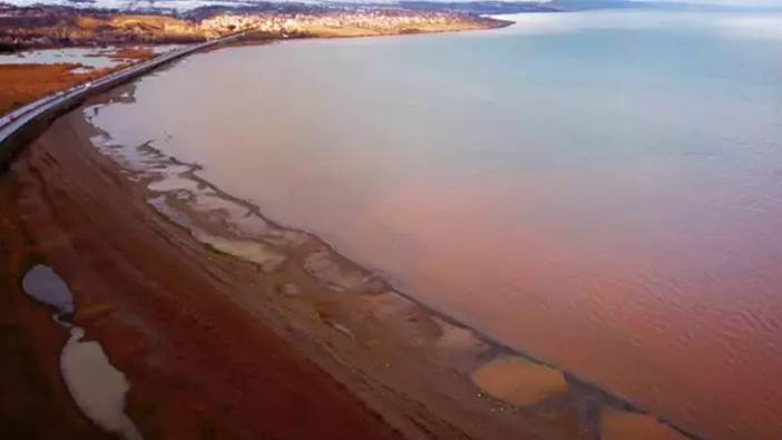 Ahlat’ta Van Gölü kahverengiye boyandı