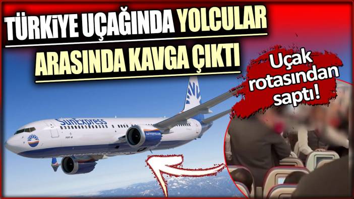 Türkiye uçağında yolcular arasında kavga çıktı, uçak rotasından saptı