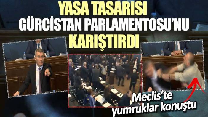 Yasa tasarısı Gürcistan Parlamentosu’nu karıştırdı: Meclis’te yumruklar konuştu