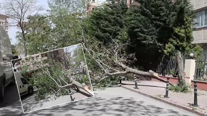 Konya'da fırtına çatıları uçurdu ağaçları devirdi