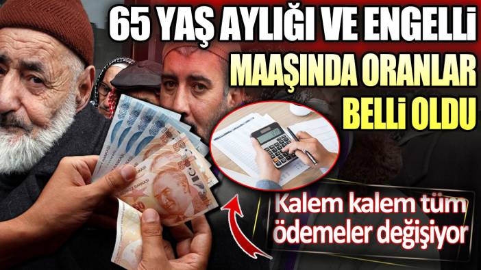 65 yaş aylığı ve engelli maaşında oranlar belli oldu: Kalem kalem tüm ödemeler değişiyor