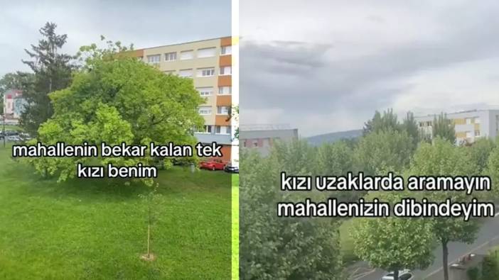 Mahallenin bekar kalan tek kızı benim dedi! Kayınvalide adaylarına seslendi