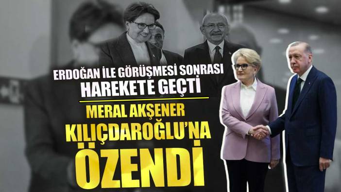 Meral Akşener Kılıçdaroğlu'na özendi! Erdoğan ile görüşmesi sonrası harekete geçti