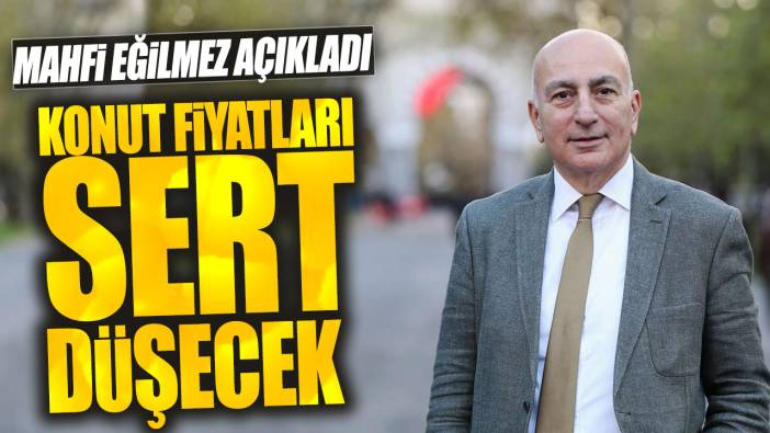 Mahfi Eğilmez: Konut fiyatları sert düşecek