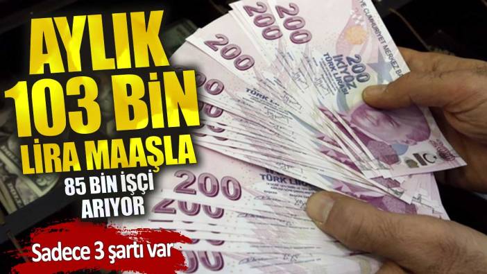 Aylık 103 bin lira maaşla 85 bin işçi arıyor! Sadece 3 şartı var