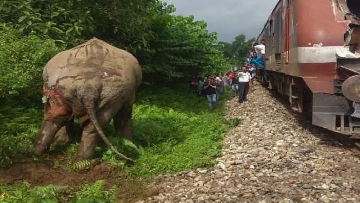 Hindistan'da yolcu treni file çarptı!