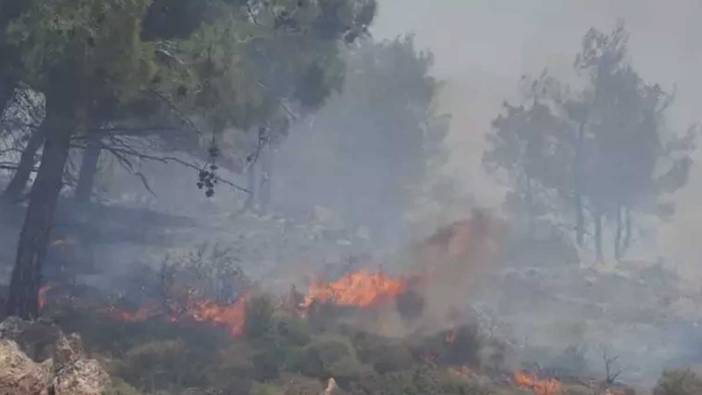 Balıkesir'de yangın. Alevler plaja doğru ilerledi