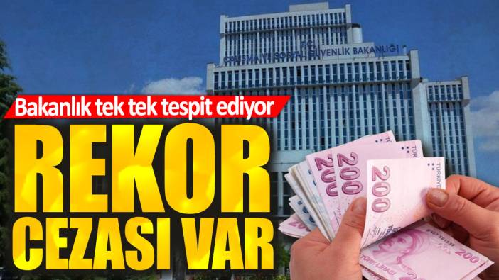 Bakanlık tek tek tespit ediyor. Rekor cezası var