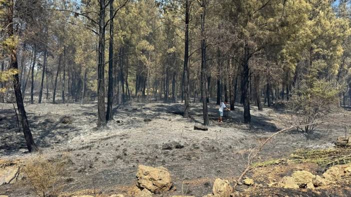 Antalya'da çıkan yangın kontrol altına alındı