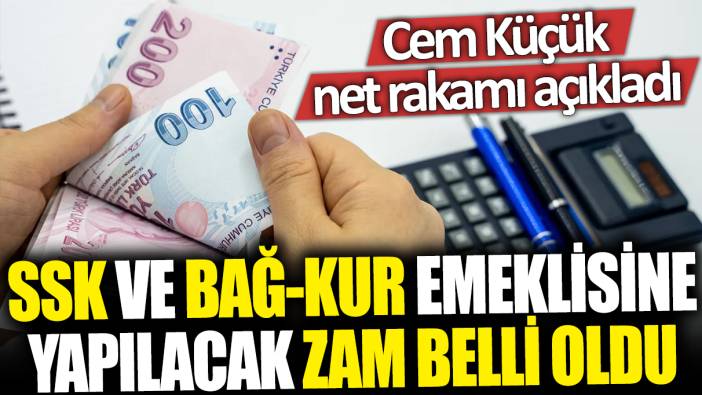 SSK ve Bağ-Kur emeklisine yapılacak zam belli oldu: Cem Küçük net rakamı açıkladı