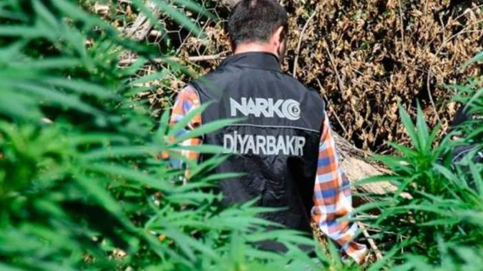 Diyarbakır'da narkoterör operasyonu. Binlercesi ele geçirildi