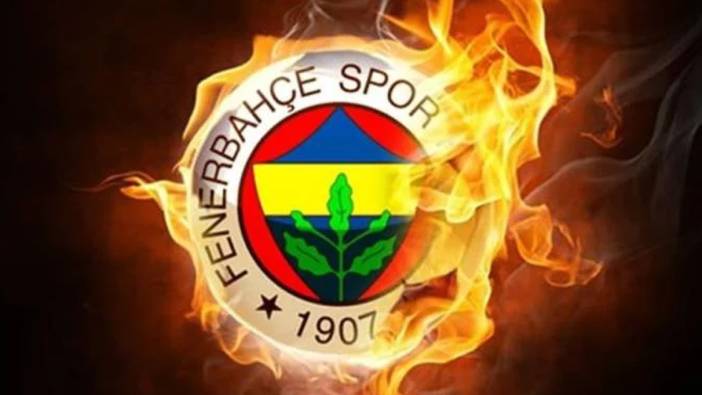 Fenerbahçe'den Hollanda'ya transfer oldu