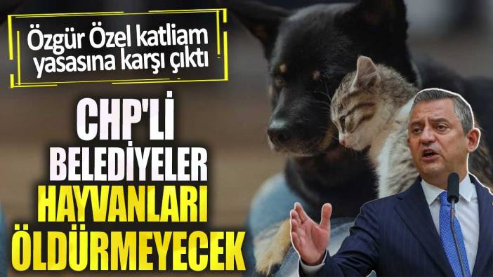 Özgür Özel katliam yasasına karşı çıktı.  CHP'li belediyeler hayvanları öldürmeyecek
