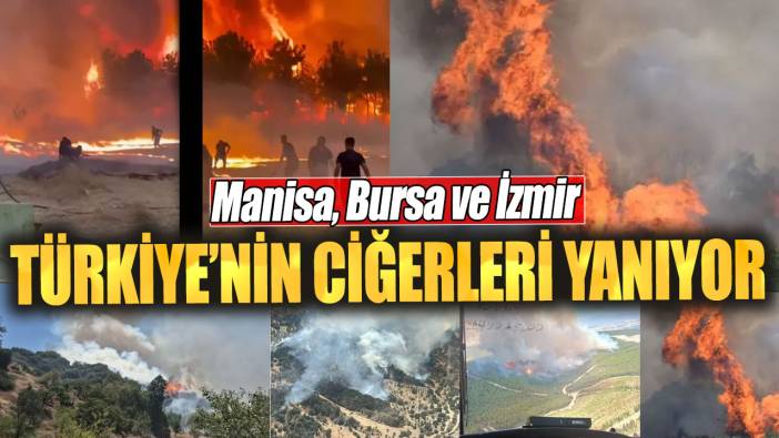 Türkiye’nin ciğerleri yanıyor.  Manisa, Bursa ve İzmir