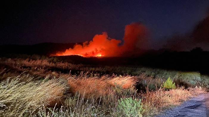 Çanakkale'nin Ayvacık ilçesindeki orman yangınına müdahale ediliyor