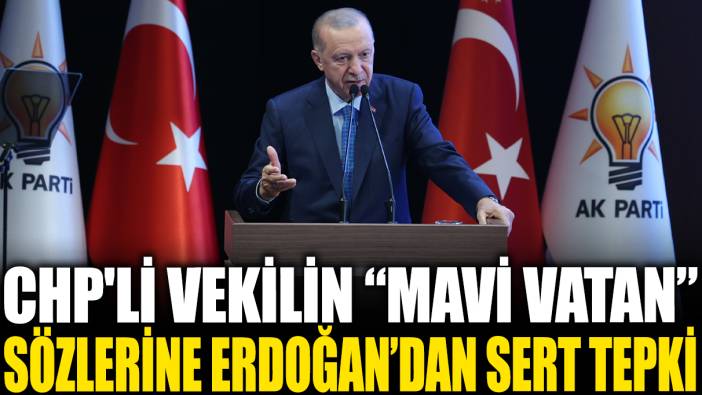 CHP'li vekilin "Mavi Vatan masalı" sözlerine Erdoğan'dan sert tepki