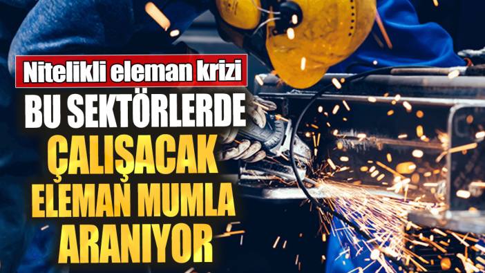 Nitelikli eleman krizi! Bu sektörlerde çalışacak eleman mumla aranıyor