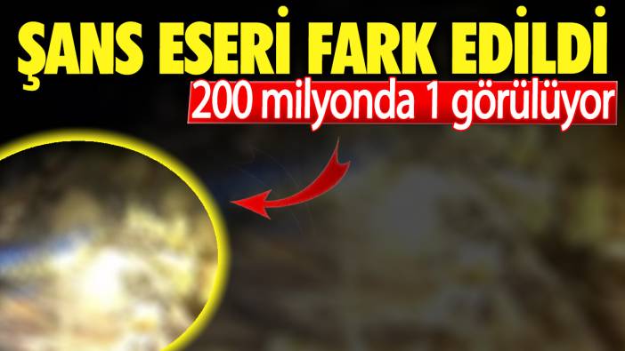 200 milyonda 1 görülüyor. Şans eseri fark edildi